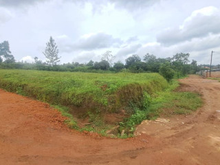Plot for sale in kinyinya