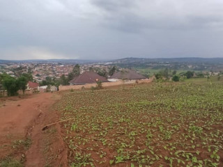 Plot for sale in busanza at agood place