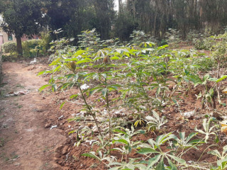 Kigali Plot for sale in Gacuriro