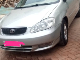 Toyota alteza