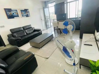 Kimihurura near lemigo hotel 2bed 2bath furnished apartment for rent in Kigali