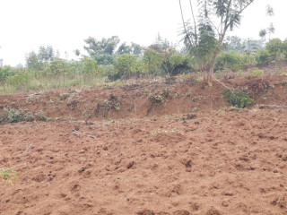Land for sale in Bugesera RILIMA near airport of Rwanda hot deal