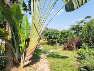 Kigali House for rent in Kimihurura