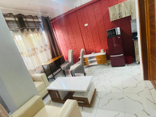 Bk 16 Nyarutarama very beautiful and amazing full furnished Apartment available for rent.