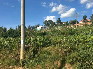 Kagugu batsinda plot for sale