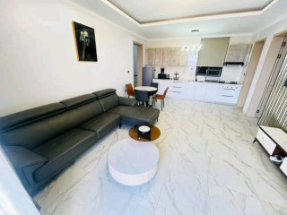 This is beautifully fully furnished house for rent in rebero
