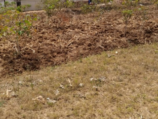Busanza plot for sale