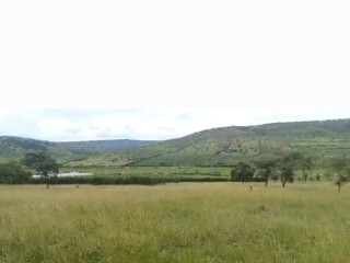 LAND AGRICULTURAL FOR SALE AT KAYONZA
