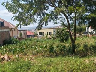 RUSORORO plot for sale