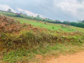 Ep 092 Rusororo plot for sale Rusororo very nice plot for sale at cheaper price@70M Rwf