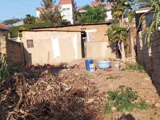 Remera plot for sale