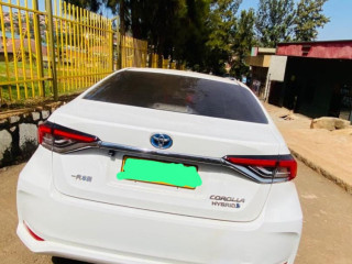 Corolla