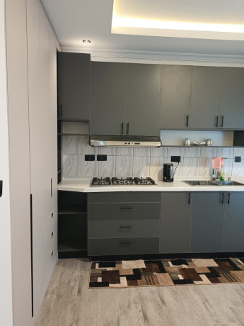 kigali-fully-furnished-house-for-rent-in-gacuriro-vision-2020-big-4
