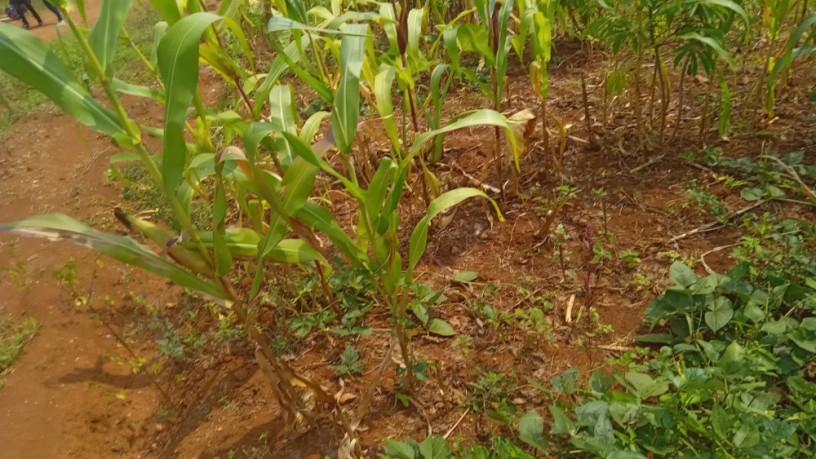 kigali-plot-for-sale-in-gahanga-kicukiro-big-6