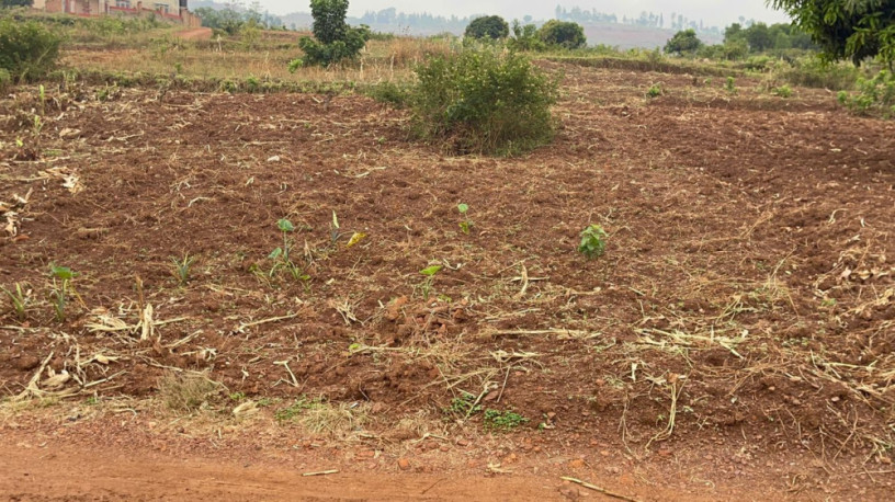 kigali-land-for-sale-in-rebero-mataba-big-0