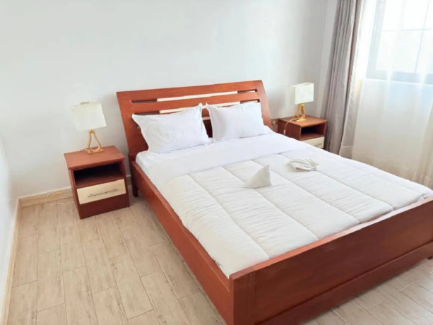 kibagabaga-nice-furnished-apartment-for-rent-in-kigali-big-5