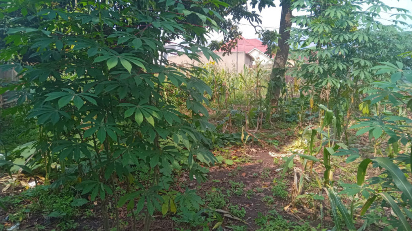 kigali-plot-for-sale-in-kinyinya-big-8