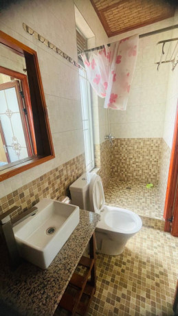 gishushu-fully-furnished-1bedroom-apartment-for-rent-at-600o400-in-good-location-big-6