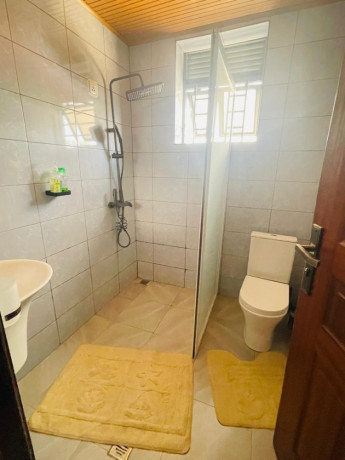 kigali-beautiful-fully-furnished-apartment-for-rent-in-kimihurura-big-3