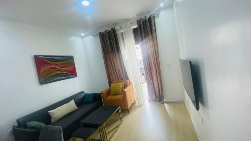 kimironko-market-fully-furnished-1bedroom-1bathroom-400usd-apartment-for-rent-big-3