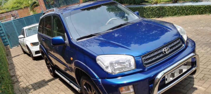 toyota-rav4-big-1