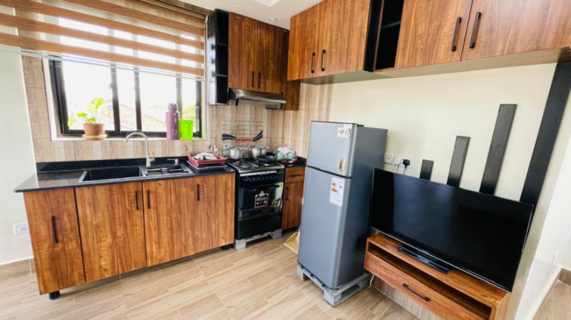 remera-fully-furnished-apartment-for-rent-in-kigali-big-6