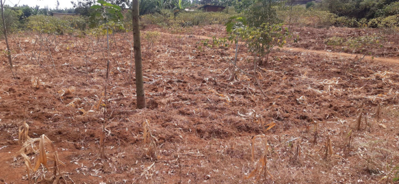 land-for-sale-in-bugesera-near-airport-of-rwanda-big-1