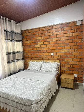 full-furnished-apartments-for-rent-in-remera-big-4
