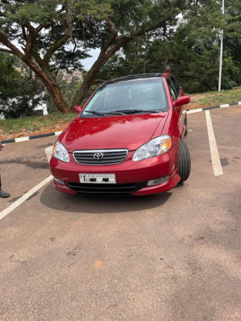 corolla-big-1