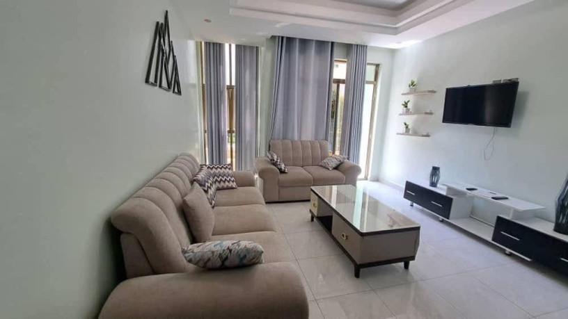 remera-fully-furnished-apartment-for-rent-in-kigali-big-0