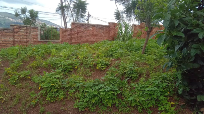 kigali-land-for-sale-in-kiyovu-rugunga-big-0