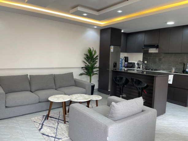 kigali-full-furnished-apartment-for-rent-in-kabeza-big-4