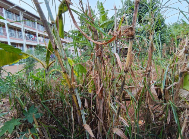 kigali-plot-for-sale-in-norvege-karama-big-7