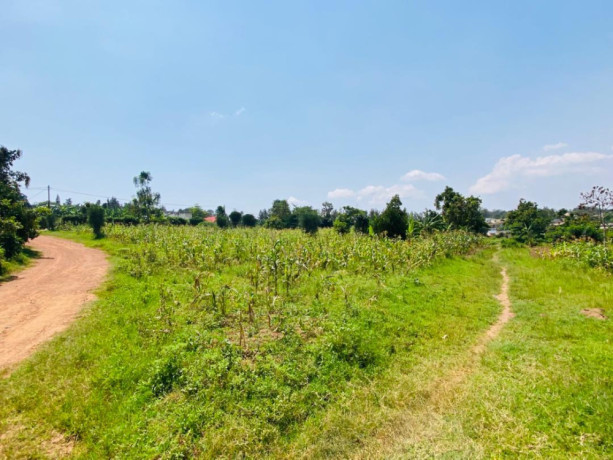 kigali-plot-for-sale-in-gasogi-kunyange-big-2