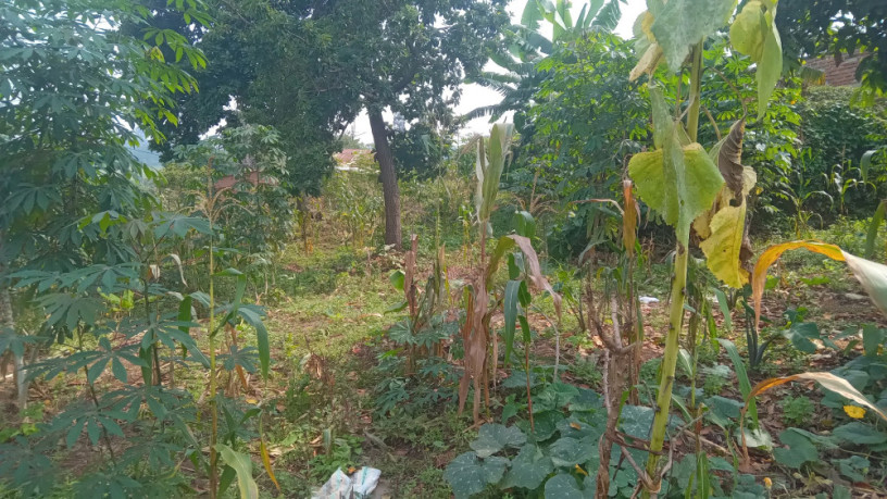kigali-plot-for-sale-in-kinyinya-big-7
