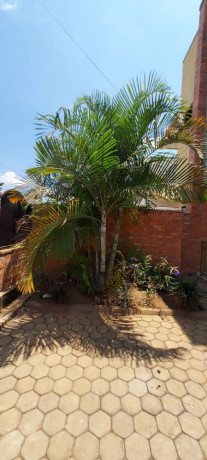 kigali-unfurnished-apartment-for-rent-in-muyange-big-1