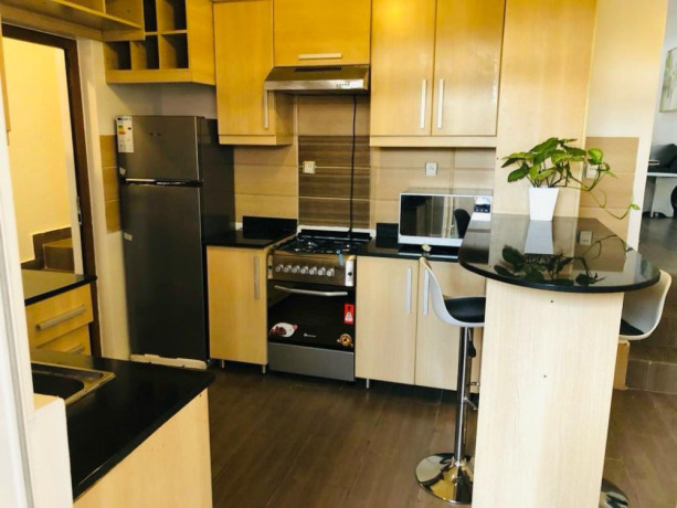 ep-130-kibagabaga-kibagabaga-very-nice-and-cheapest-well-furnished-house-for-rent-big-5