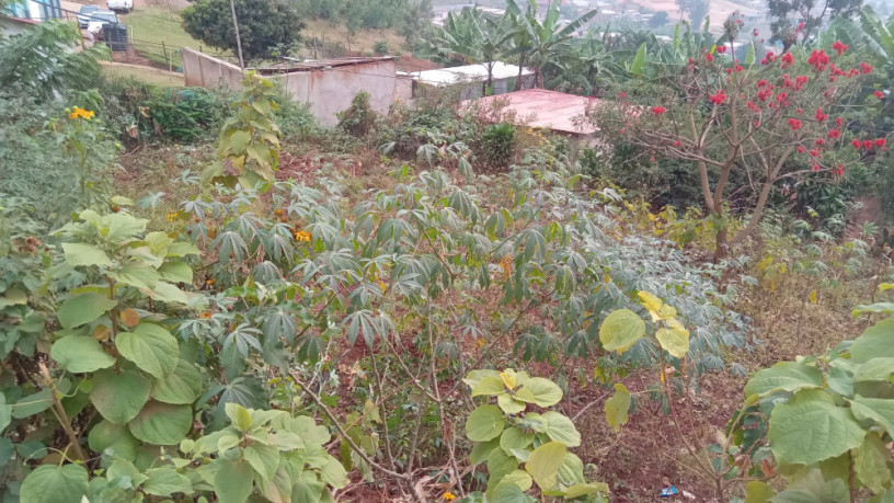 kigali-land-for-sale-in-rebero-facing-nyamirambo-side-big-7