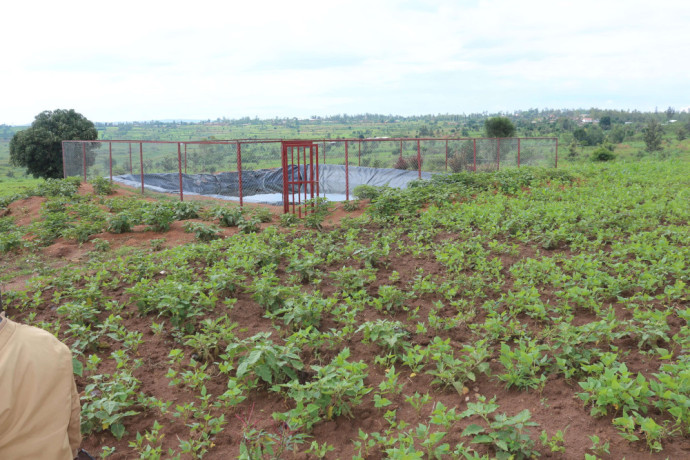 agriculture-land-for-sale-in-bugesera-gashora-rwanda-access-on-water-big-2