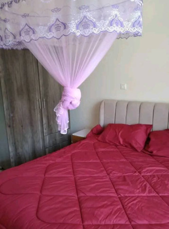 kigali-fully-furnished-apartments-for-rent-in-kimihurura-big-7