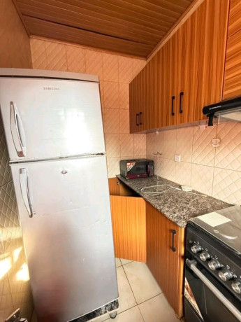 furnished-apartment-for-rent-2bed-2bath-big-6