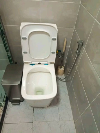 rb72-nyarutarama-beautiful-furnished-apartment-for-rent-big-13