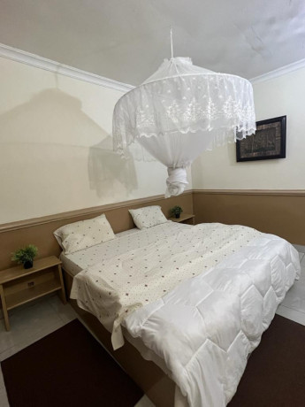 kigali-fully-furnished-apartment-for-rent-in-kacyiru-big-3