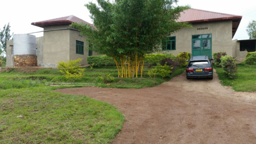 houses-in-a-hectare-of-land-for-sale-in-nyagatovu-mukarange-kayonza-factory-area-big-0