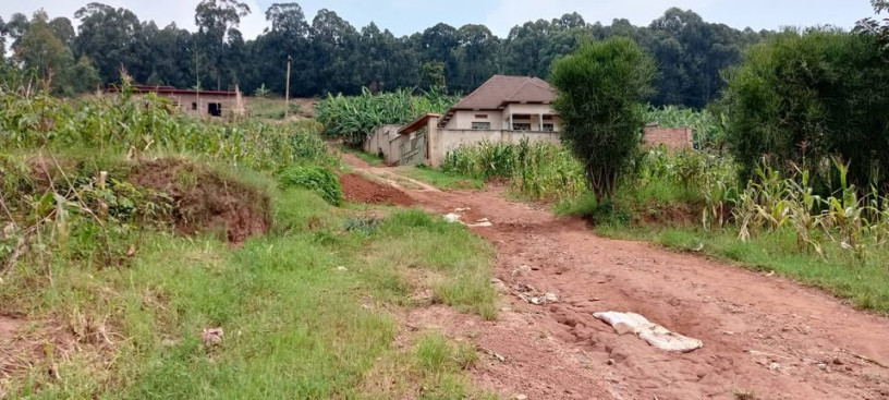 masizi-plot-for-sale-big-1