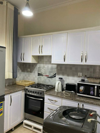 remera-fully-furnished-apartment-for-rent-in-kigali-big-6