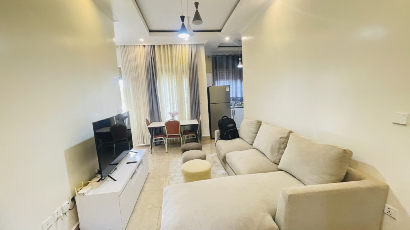 remera-apartment-for-rent-in-kigali-big-0