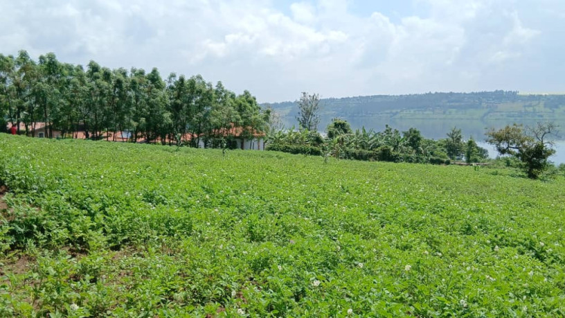 gatsibo-muhazi-plot-for-sale-big-9