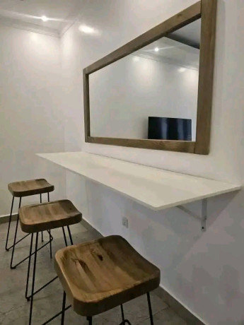 nyarutarama-near-mtn-furnished-apartment-for-rent-big-0