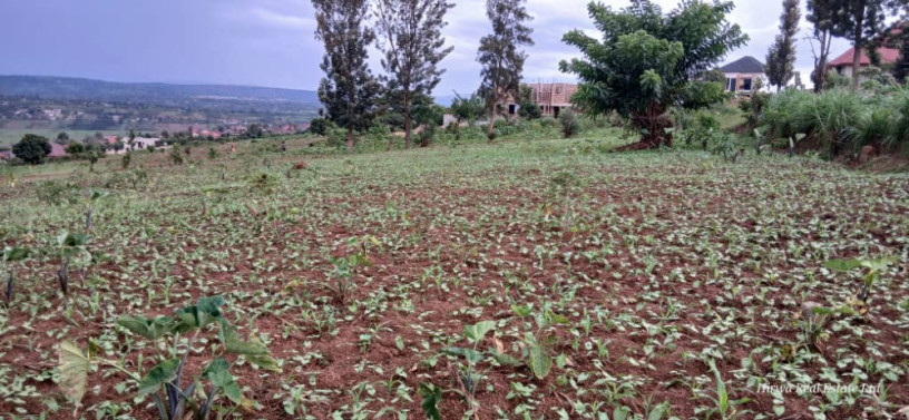 plot-for-sale-in-busanza-at-a-good-price-big-2